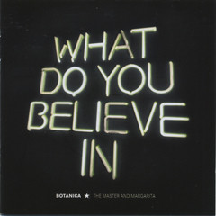 Mehr über den Artikel erfahren Botanica – What Do You Believe In CD